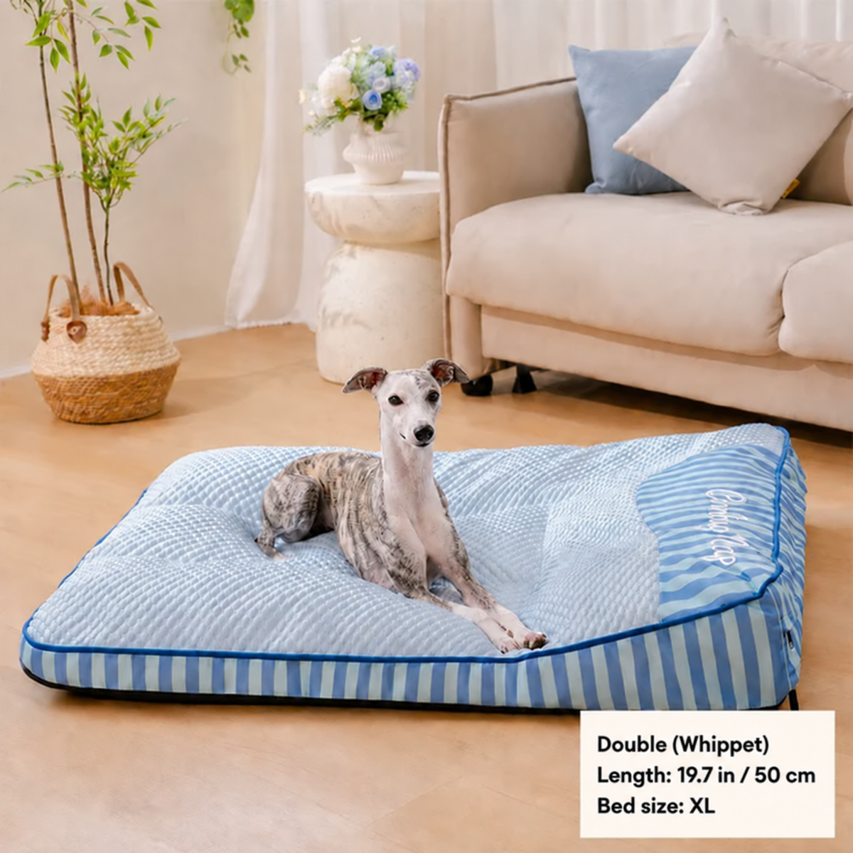 Whippet on the FidoSit cooling orthopaedic dog bed – English size details