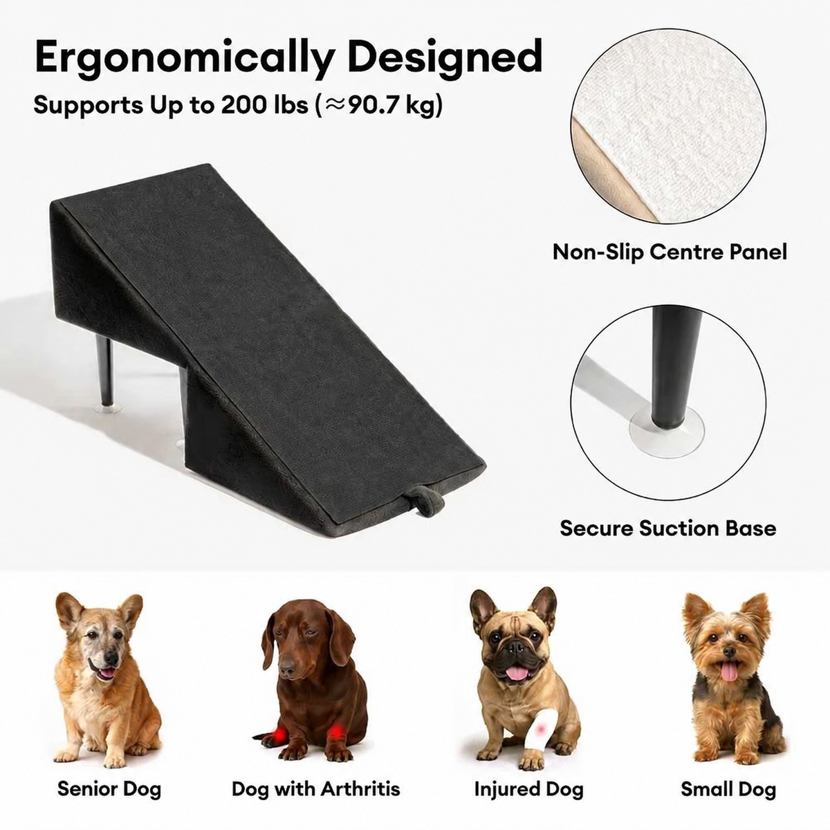 Rampa Sgabello per Cani Convertibile 2-in-1 - FidoSit
