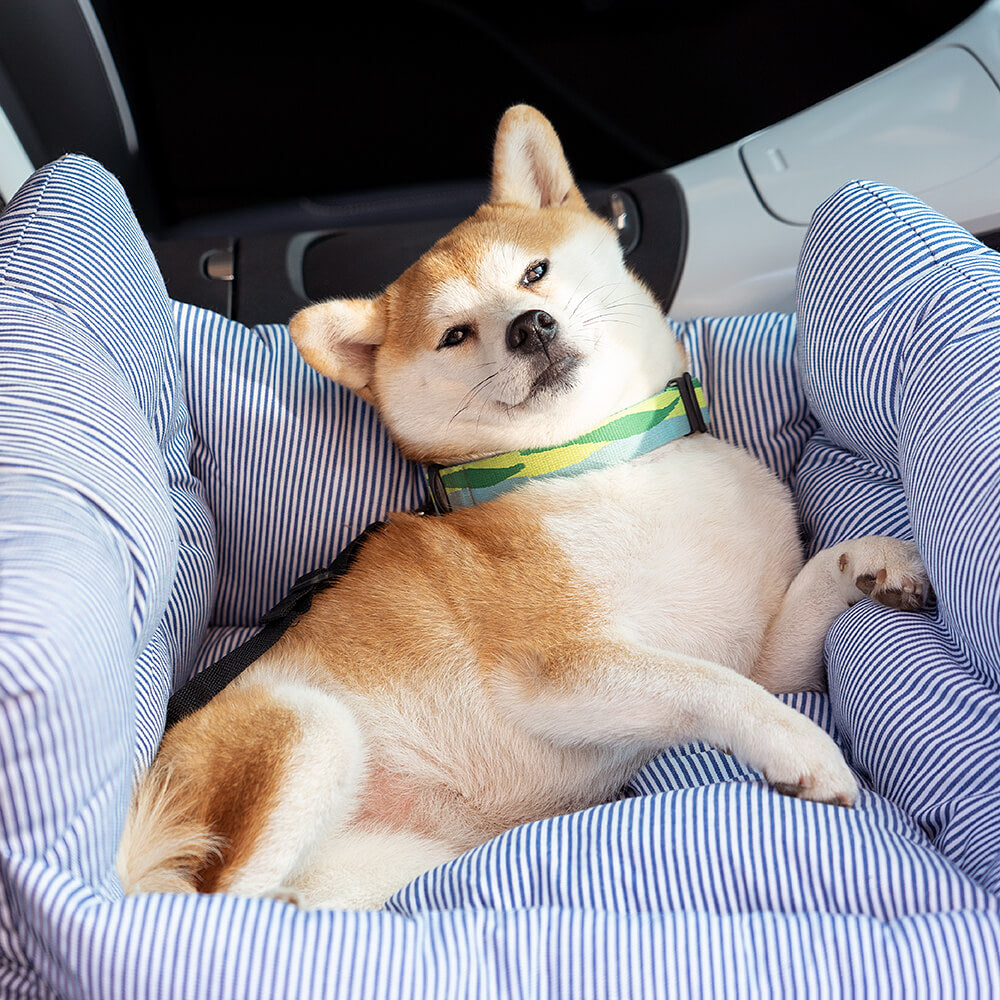 FidoSit Portable Dog Car Seat & Travel Bed – photo 29