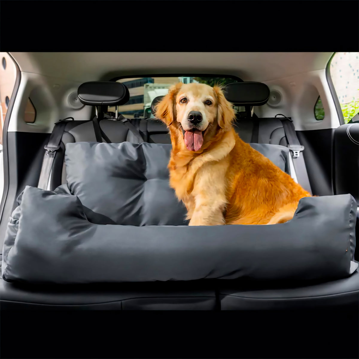 Seggiolino Auto Cani Impermeabile Fissato ai Sedili - FidoSit