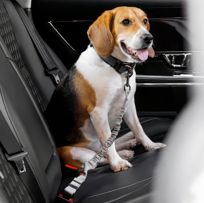 Elastic Anti-Whiplash Dog Car Safety Belt