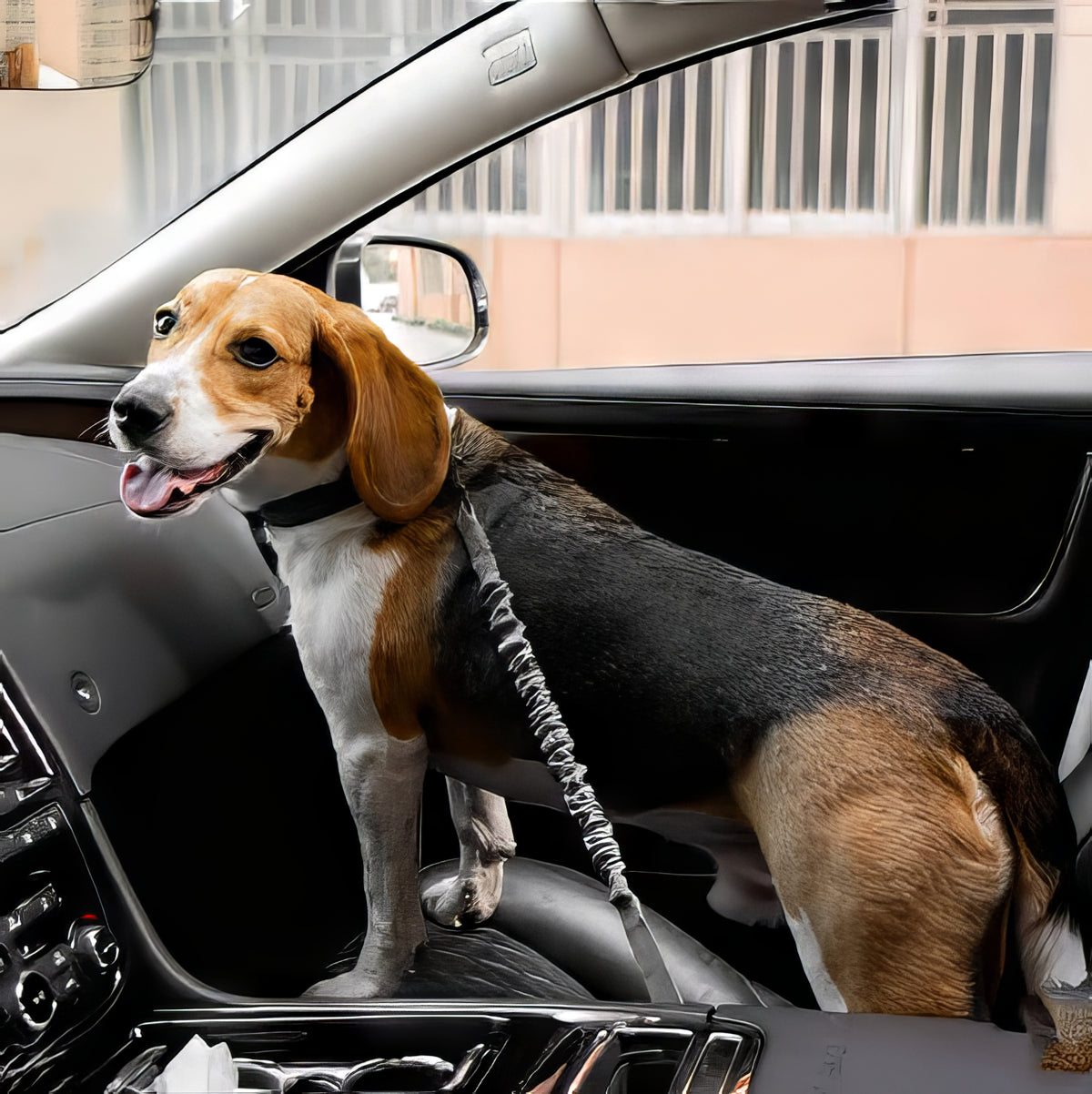Elastic Anti-Whiplash Dog Car Safety Belt