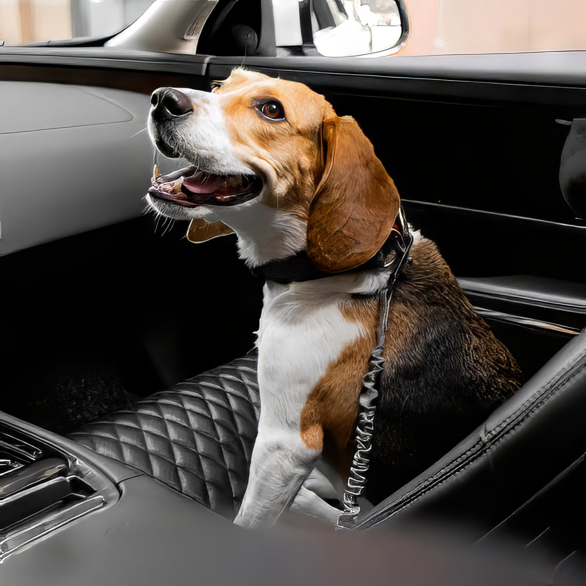 Elastic Anti-Whiplash Dog Car Safety Belt