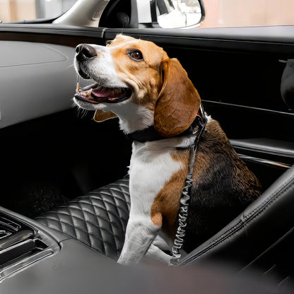 Elastic Anti-Whiplash Dog Car Safety Belt