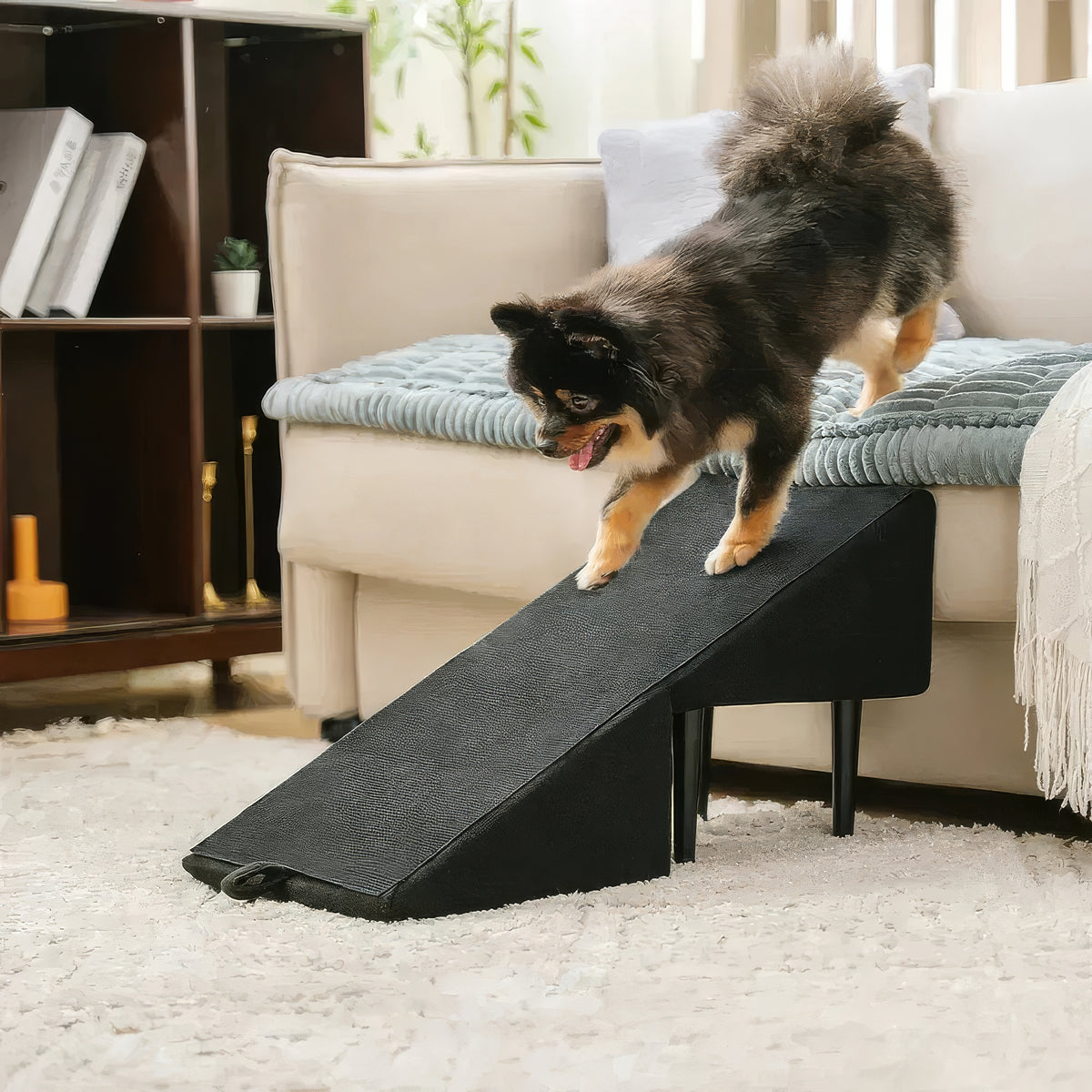 Rampa Sgabello per Cani Convertibile 2-in-1 - FidoSit