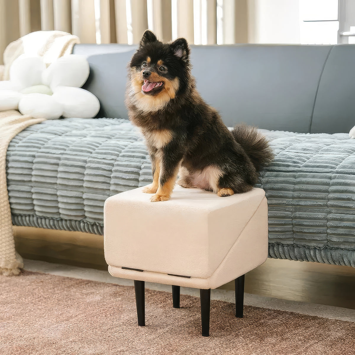 Rampa Sgabello per Cani Convertibile 2-in-1 - FidoSit