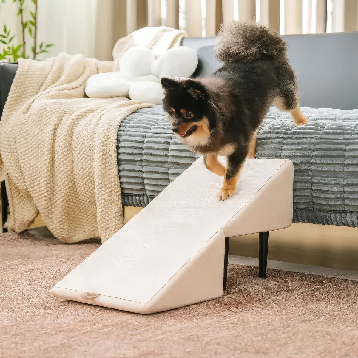Rampa Sgabello per Cani Convertibile 2-in-1 - FidoSit