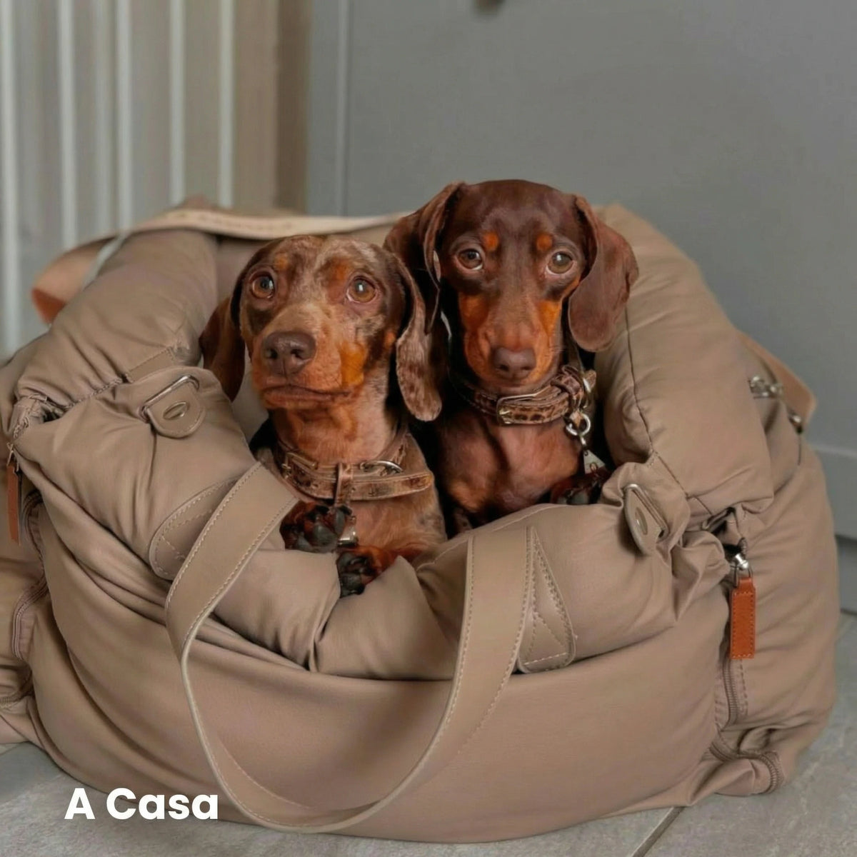 Seggiolino Auto in Pelle Comfort Urbano per Cani - FidoSit