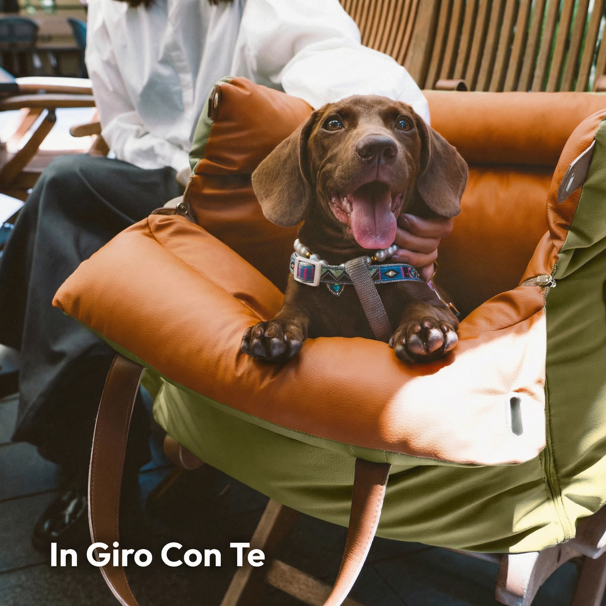 Seggiolino Auto in Pelle Comfort Urbano per Cani - FidoSit