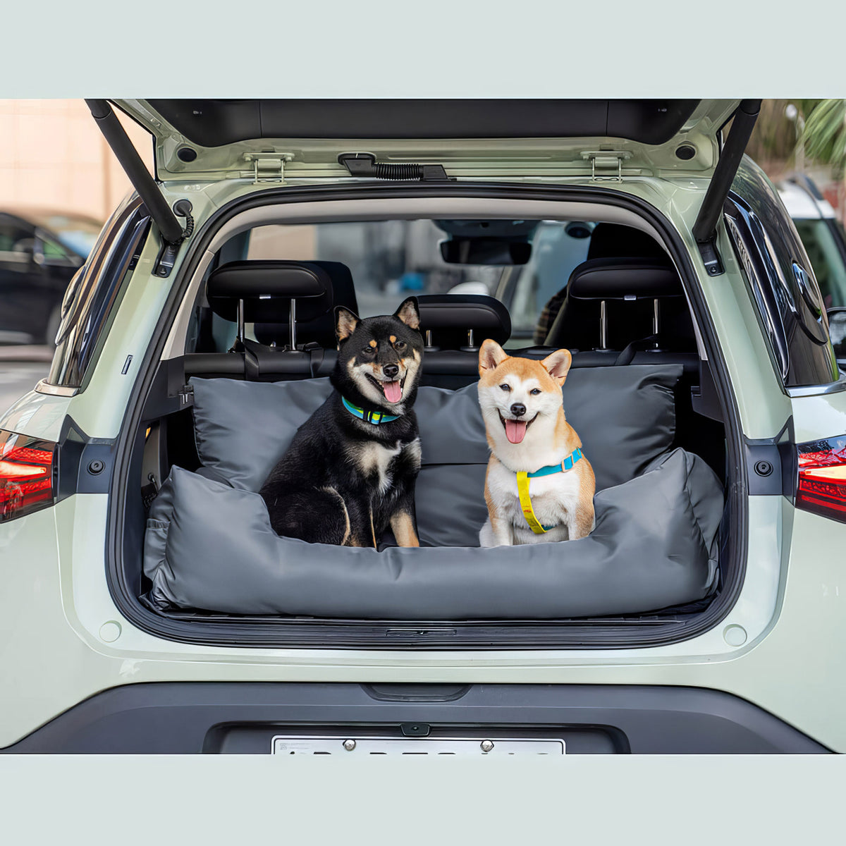 Seggiolino Auto Cani Impermeabile Fissato ai Sedili - FidoSit