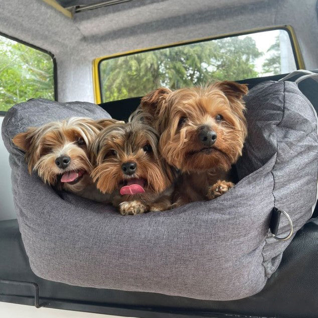 Seggiolino Auto per Cani 0-12 Kg Prima Classe - FidoSit