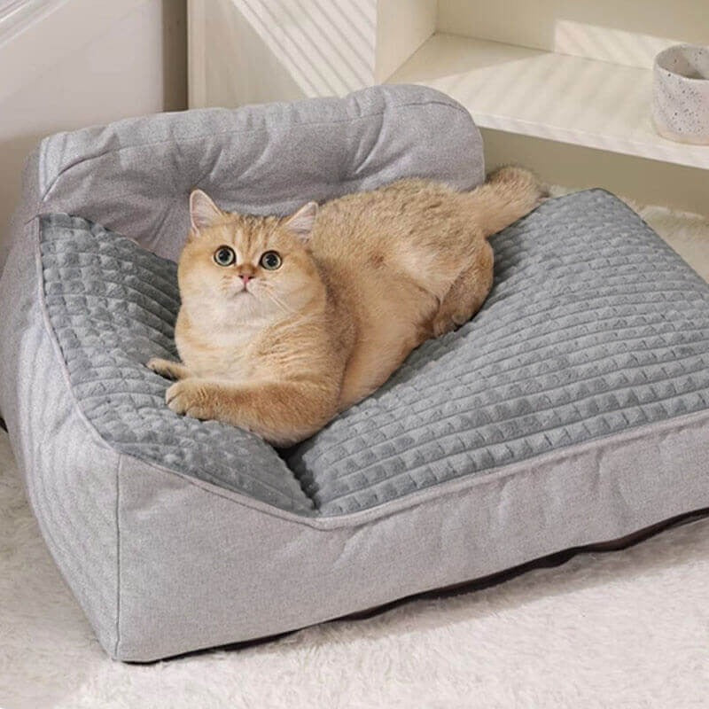 Letto Grande Imbottito Lavabile per Cani e Gatti - FidoSit