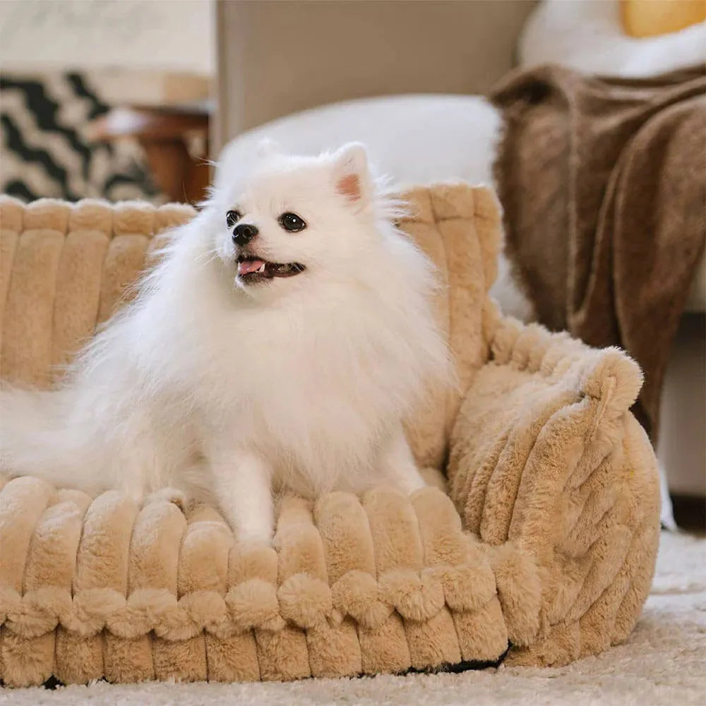 Divano Ortopedico per Cani in Peluche Sogni Perfetti - FidoSit