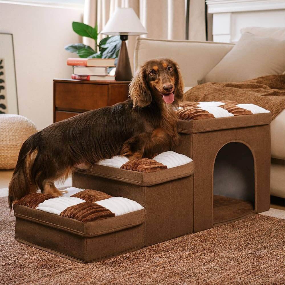 Scaletta Artigianale per Cani con Motivo a Scacchiera - FidoSit