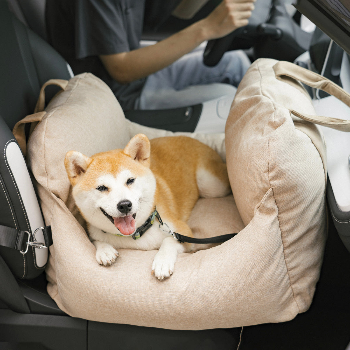Seggiolino Auto per Cani 0-12 Kg Prima Classe - FidoSit