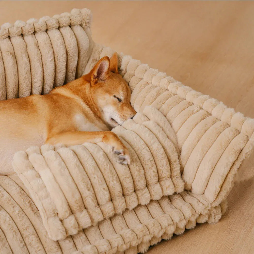 Divano Ortopedico per Cani in Peluche Sogni Perfetti - FidoSit